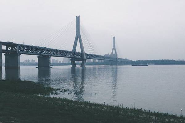 1552962123642135.jpg 天兴洲1.jpg