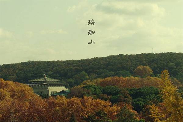 1553240081898396.jpg 景点1.jpg