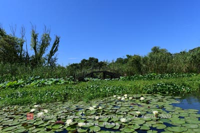 油坊岭明代王墓群