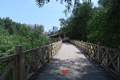 天主教圣母会旧址