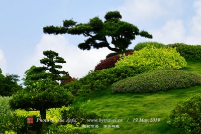 红山咀墓群