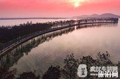 武大樱花预约不上怎么办 武大樱花预约网址进不去(正在排队+打不开网页) 武大樱花预约不上怎么办 武大樱花预约网址进不去(正在排队+打不开网页)